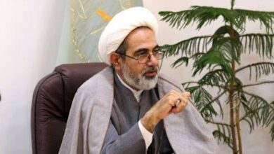 برخورد با ۲ خانم مورد تایید نیست/ باید شرایط ماموران هم بررسی شود که در چه وضعیتی بودند که آنگونه نسبت به دستگیری آن ۲ نفر اقدام کردند / پرونده‌ای برای برخورد با ماموران تشکیل شد که به صورت ویژه در حال رسیدگی است