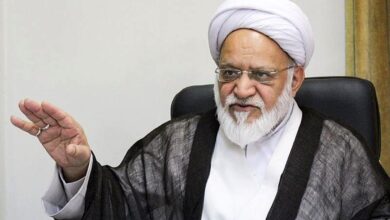 موضوع FATF در مجمع متوقف است/ پزشکیان در مجمع از FATF دفاع خواهد کرد و مجمع هم آن را تصویب می‌کند