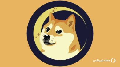 تحلیل دوج کوین؛ آیا سرمایه‌گذاران نهادی می‌توانند DOGE را نجات دهند؟