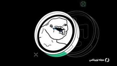 رشد ۱٬۰۰۰ درصدی میم کوین RFC؛ ایلان ماسک باز هم خبرساز شد!