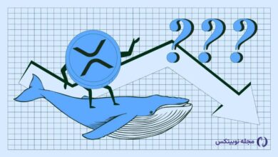 تحلیل ریپل؛ آیا قیمت XRP بیشتر از ۵۰ درصد سقوط می‌کند؟