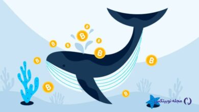 نهنگ‌ها پس از سقوط بازار کریپتو چه آلت کوین‌هایی خریدند؟