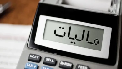 سامانه واکنش ذینفعان به اطلاعات مالیاتی ۱۶۹ و ۱۶۹ مکرر چه کاربردی دارد؟