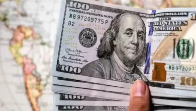 پیش بینی قیمت دلار ۲۴ اردیبهشت ۱۴۰۴ / نبض بازار ارز کند شد – تجارت نیوز