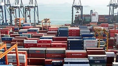 ماندن کالاها در گمرک غیر از دردسر هیچ سودی برای این سازمان ندارد – تجارت نیوز