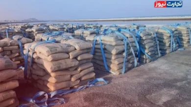 قیمت سیمان امروز ۶ خرداد ۱۴۰۴/ سیمان ارزان شد + جدول – تجارت نیوز