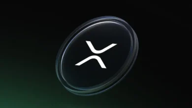 افزایش چشمگیر تعداد کیف‌پول‌های XRP/ رکوردشکنی در شبکه – تجارت نیوز