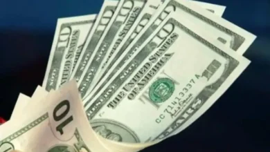 قیمت دلار امروز ۴ خرداد ۱۴۰۴ / ثبات نسبی دلار در کانال 82 هزار تومانی – تجارت نیوز