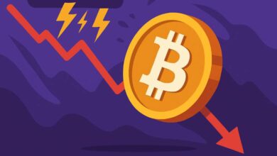 قیمت بیت کوین به زیر ۱۱۰٬۰۰۰ دلار رسید؛ دلیل ریزش بازار چه بود؟