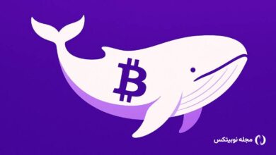 پول هوشمند هر روز با ۱ میلیارد دلار سرمایه وارد بازار بیت کوین می‌شود!