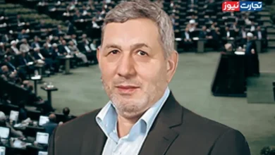 مقصر اصلاح نشدن قیمت تضمینی گندم؛ رئیس سازمان برنامه و بودجه یا وزیر جهاد کشاورزی؟
