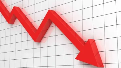 نرخ بیکاری در استان تهران کاهش یافت – تجارت نیوز