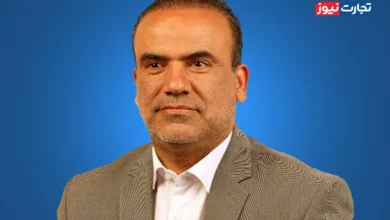۸۵ هواپیمای سالم و فعال در کشور فعالیت می‌کنند / ۳۵۰ فروند هواپیما لازم داریم