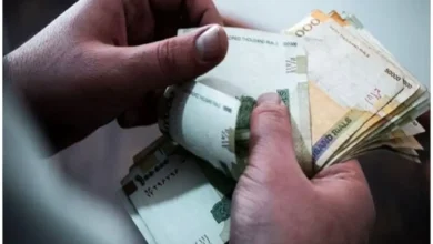 ویدیو/ حذف یارانه پردرآمدها شتاب گرفت – تجارت نیوز
