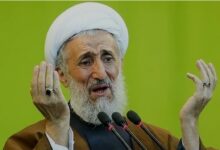 از تصاویر گریان صدیقی تا رسوایی زمین های ازگل / وقتی بی حجابان، جنگلی لقب می گیرند!