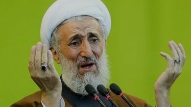 از تصاویر گریان صدیقی تا رسوایی زمین های ازگل / وقتی بی حجابان، جنگلی لقب می گیرند!