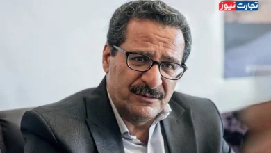 وزیر اقتصاد نیازی به تجربه اجرایی ندارد/ مدنی‌زاده باید تمرکز خود را بر شایسته‌سالاری بگذارد